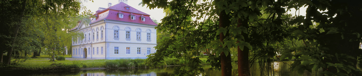 Bannerbild