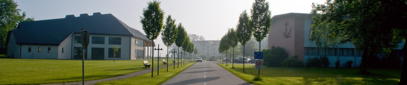 Bannerbild
