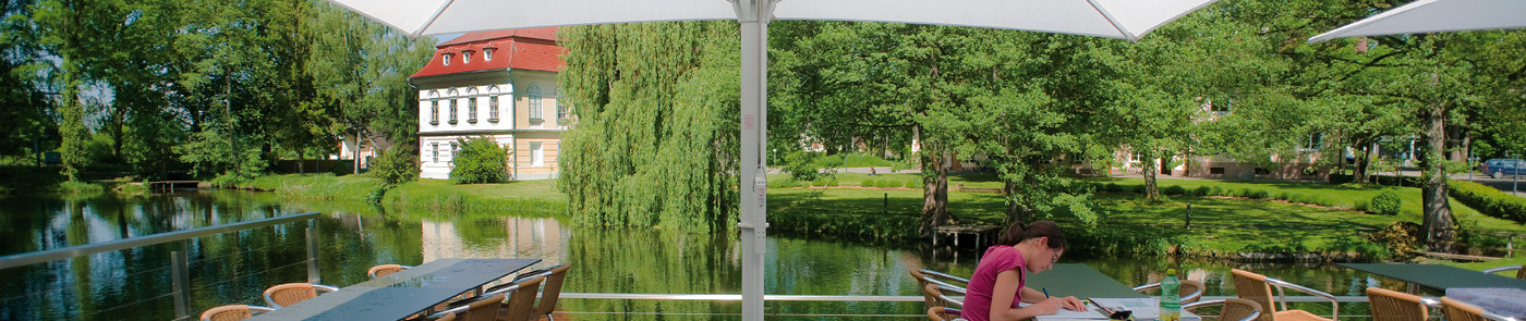 Bannerbild