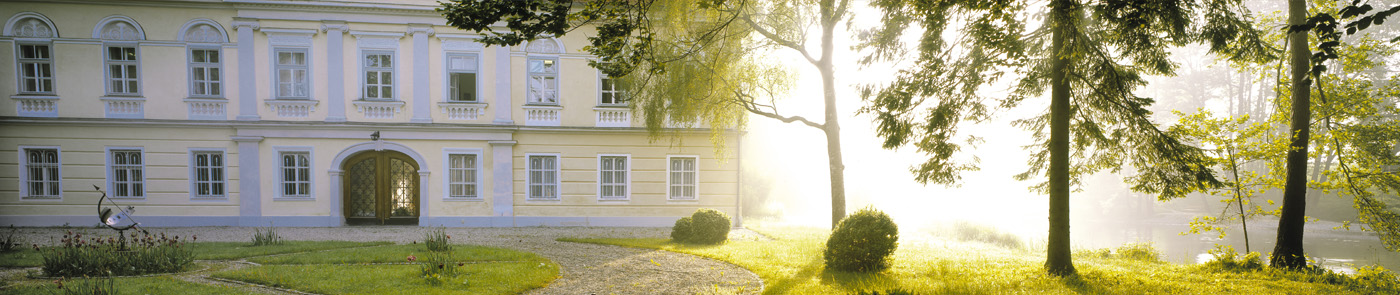 Bannerbild